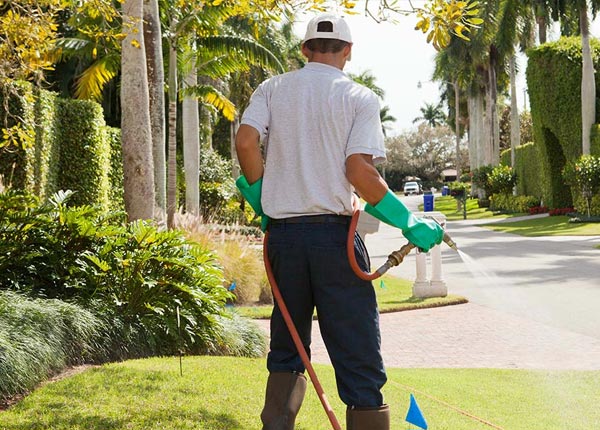 About Saint Boniface PA Pest Control Pros